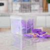 imageIRIS USA Food Storage Containers with FlipTop Lid 13 Qt  10 Pack Clear Stackable Food Containers for Kitchen amp Pantry Organization BPAFree Food Grade Plastic For Flour Sugar Dry Food GrainSmall  10 Pack