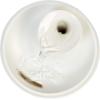 imageIRIS USA Cat Water Fountain 44oz  13L Kitty Spout Dog Fountain Water Bowl Silent and Replaceable Charcoal Filter WhiteBlueWhite