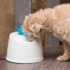imageIRIS USA Cat Water Fountain 44oz  13L Kitty Spout Dog Fountain Water Bowl Silent and Replaceable Charcoal Filter WhiteBlueWhiteBlue