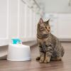 imageIRIS USA Cat Water Fountain 44oz  13L Kitty Spout Dog Fountain Water Bowl Silent and Replaceable Charcoal Filter WhiteBlueWhiteBlue