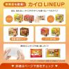 imageHokkairo Hand Body Warmers Stick on Clothes Adhesive 30PK Large