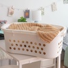 image:imageIRIS USA Plastic Laundry Basket 15 Bushel 50L Large Clothes Hamper with Ventilation Holes BuiltIn Handles amp Hip Hold Laundry Organizer for Bedroom Bathroom Dorm WhiteWhite