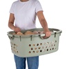 image:imageIRIS USA Plastic Laundry Basket 15 Bushel 50L Large Clothes Hamper with Ventilation Holes BuiltIn Handles amp Hip Hold Laundry Organizer for Bedroom Bathroom Dorm WhiteSage Green
