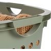image:imageIRIS USA Plastic Laundry Basket 15 Bushel 50L Large Clothes Hamper with Ventilation Holes BuiltIn Handles amp Hip Hold Laundry Organizer for Bedroom Bathroom Dorm WhiteSage Green