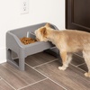 image:imageIRIS USA Elevated Dog Bowls Adjustable Stand Raised Feeding Station with Removable Double Food and Water Bowls Easy Clean Design Indoor Pet Feeding System for Small to Large Dogs GrayDog Feeding Station Pack of 2