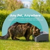 image:imageIRIS USA Elevated Dog Bowls Adjustable Stand Raised Feeding Station with Removable Double Food and Water Bowls Easy Clean Design Indoor Pet Feeding System for Small to Large Dogs GrayDog Feeding Station